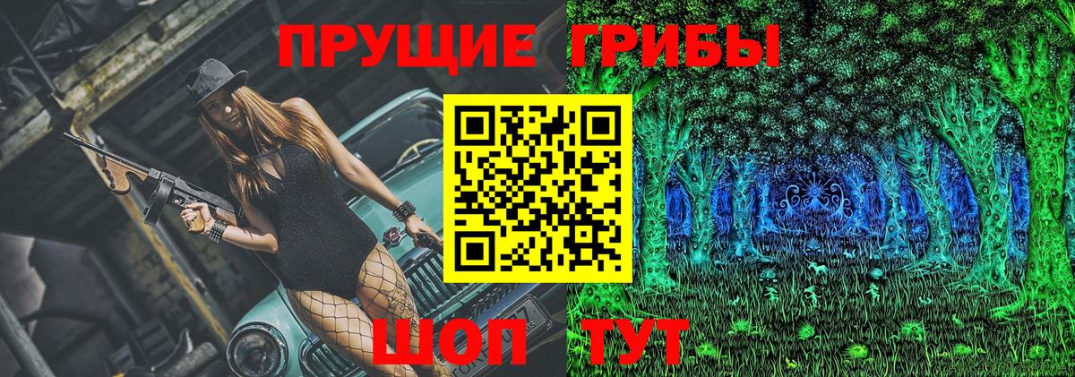 Псилоцибиновые грибы Psilocybine cubensis  Галлюциногенные грибы Psilocybe  как найти   Вход с VPN  Горно-Алтайск 